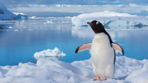 Телохранители Илона Маска получили статус федеральных агентов и право носить оружие в госучреждениях