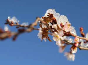 В Кулдиге стартует реконструкция улиц: часть дорог закроют до октября