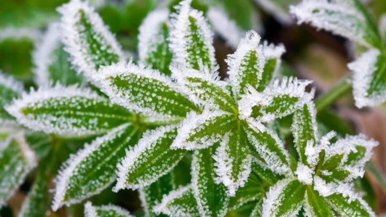 В Латвии резко похолодает: ночью до −5°C, днём без тепла
