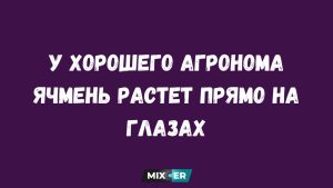 Какое число должно быть следующим: быстрый тест на логику
