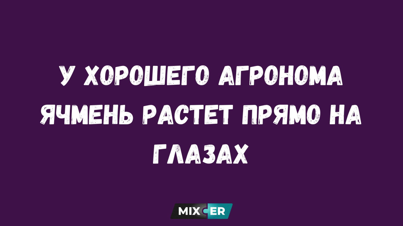 Публицист: радио - это рука на пульсе (АУДИО)