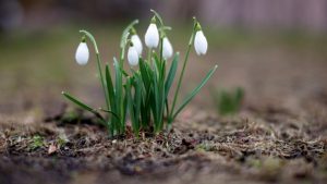 Новый ночной маршрут в Риге: автобус до аэропорта будет ходить каждый час