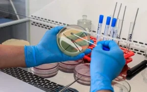 Министр транспорта Франции обещает, что массовых отмен авиарейсов летом не будет