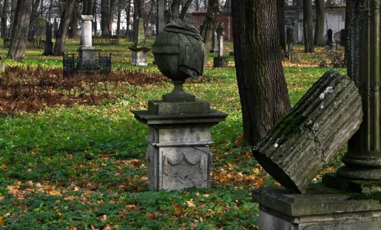 В социальных сетях обсуждают серию дерзких ограблений пожилых женщин на кладбищах