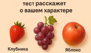Ваш кот - ласковый прилипала или маленький хищник? Учёные выделили 5 типов кошачьего характера