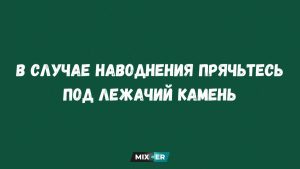 Юмор за день и зубная фея