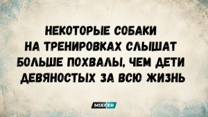 Тест на внимательность: сможете ли вы отыскать автомобиль в заснеженном лесу?