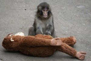 Конфликт США и Ирана обошелся мировому бизнесу в $25 млрд. И это не предел