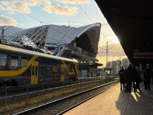 Сегодня Всемирный день пчёл: на террасе Рижской ратуши откроют пчелиный сад для всех желающих