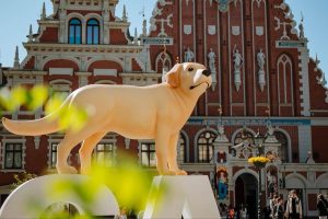 31 мая на Домской площади в Риге пройдёт Детский фестиваль - на сцену выйдут более 750 юных артистов