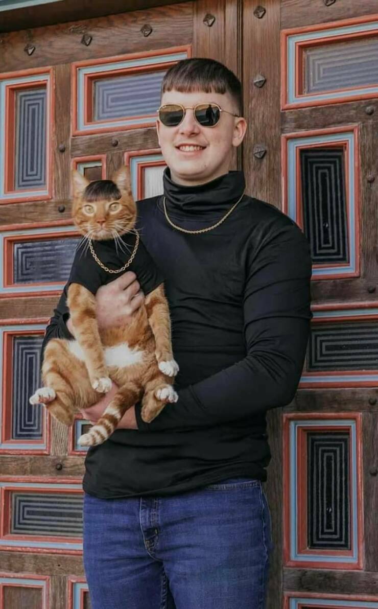 Подборка смешных и абсурдных фотографий со всего мира: странные ситуации, животные, нелепые решения и комичные совпадения.