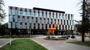 Сегодня в Музее природы Риги открывается выставка «Розовый сад 2026»
