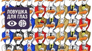 Головоломка на внимательность: среди множества одинаковых птиц спрятан пингвин