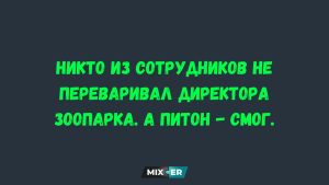 Не любят гостей и никого не зовут домой? Психологи объяснили, почему это не грубость, а особенность личности
