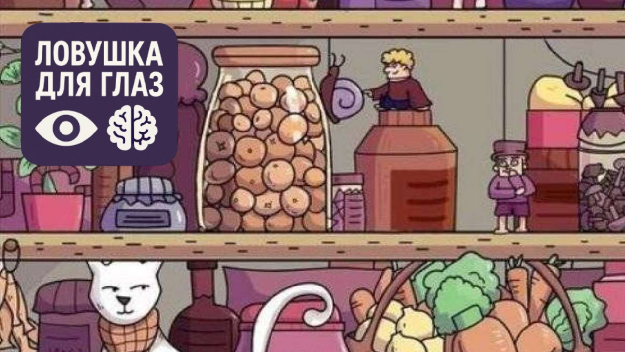 иллюстрация с полками и предметами, среди которых спрятан молоток, визуальная головоломка на внимательность