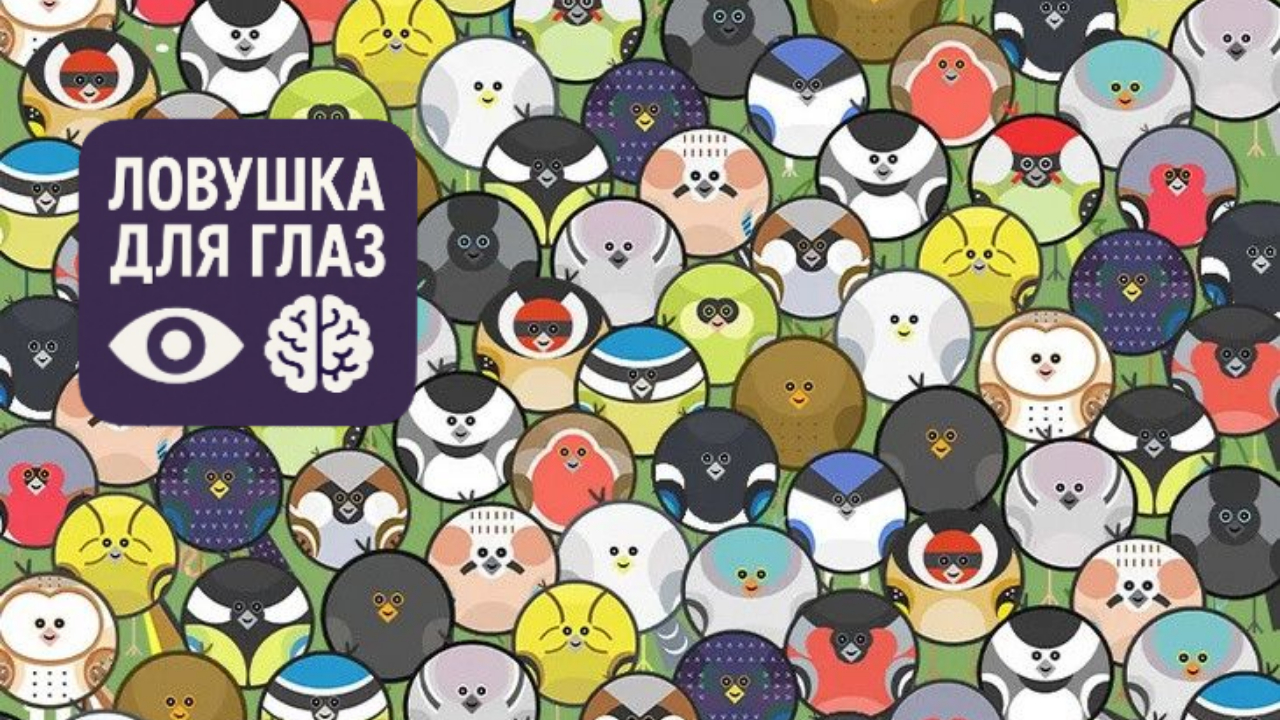 99% не успевают: найдите червяка до того, как его склюют