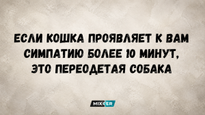 Эти 5 вещей носят все самые стильные девушки летом 2026