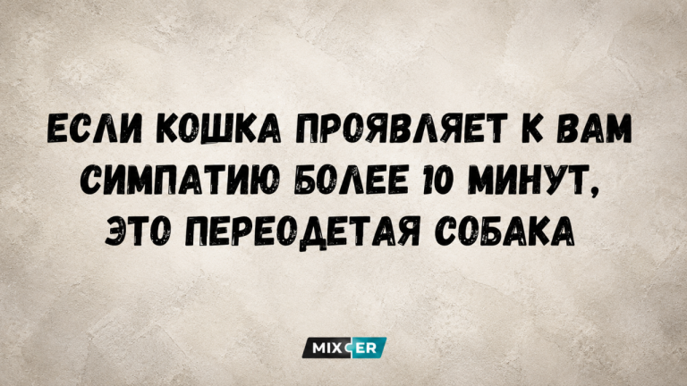 Смешные картинки с надписями и переодетая собака