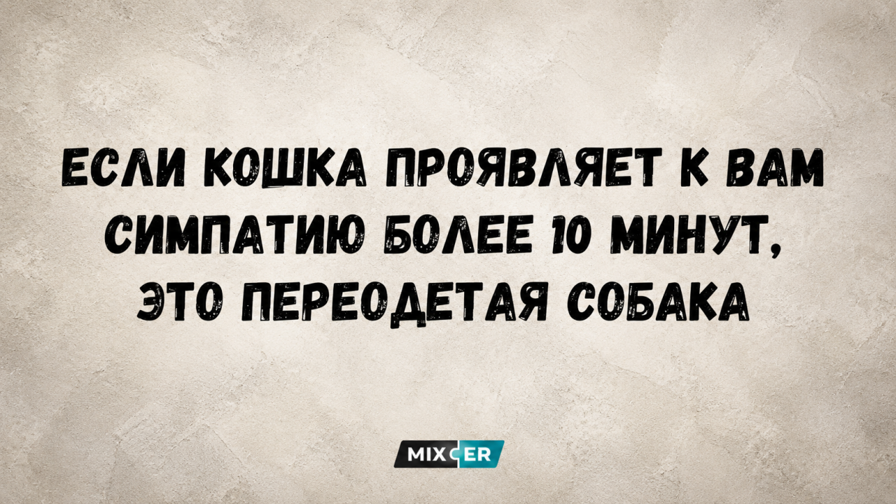 В пятницу местами в Латвии выпадет снег