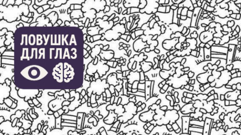 Обладаете ли вы смекалкой секретного агента? Проверьте себя с помощью этого теста на IQ, основанного на оптической иллюзии.