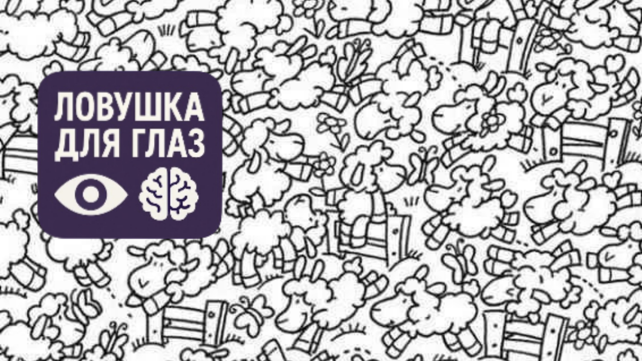 Обладаете ли вы смекалкой секретного агента? Проверьте себя с помощью этого теста на IQ, основанного на оптической иллюзии.