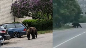 В Латвии в воскресенье потеплеет до +18 градусов, возможны грозы