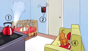 Коты, гитара-лодка и офисная тыква: 19 кадров, которые сделают ваш день веселее