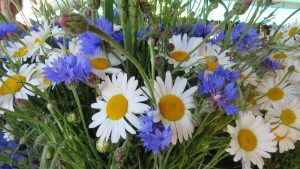 «Денег оказалось больше, чем здравого смысла» - политолог о пути Латвии в ЕС
