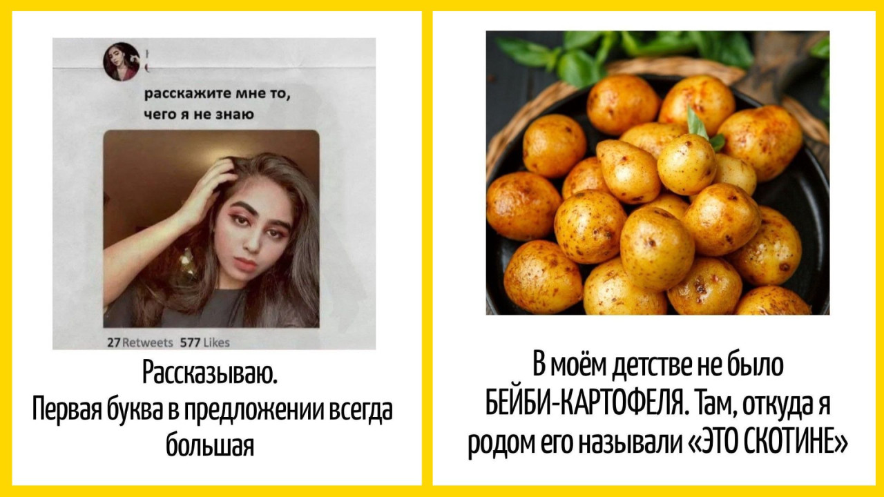 Минюст Латвии запретил молиться на Летающего Макаронного Монстра