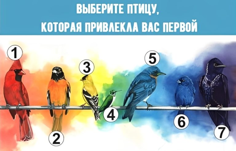 Выберите птицу, которая откликается в сердце, чтобы узнать скрытую потребность вашей души