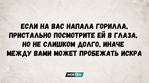 Что ваши утренние привычки говорят о вашей личности