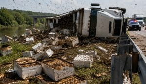 Премьер Великобритании Стармер объявил об отставке