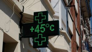 В Эквадоре убита расследовавшая семейный бизнес президента страны польская активистка