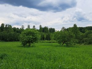 Летние каникулы с зарплатой: каждый третий подросток в Латвии работает летом