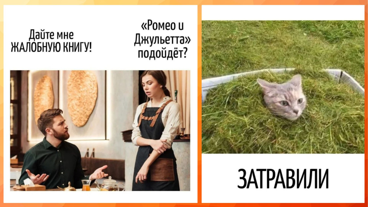 Игра слов - это юмор, который прячется в языке, а потом внезапно бьёт тебя каламбуром в больное место