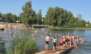 День роз в Латвии: в Саласпилсском ботаническом саду представят коллекцию из сотен сортов