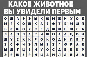 Гороскоп на 29 июня по картам Таро: Льву - наблюдать внимательно и не терять покоя, Близнецам - оставаться собой в сложной ситуации