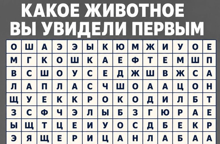 Пантера, панда или хомяк: что первый образ говорит о вашем внутреннем состоянии