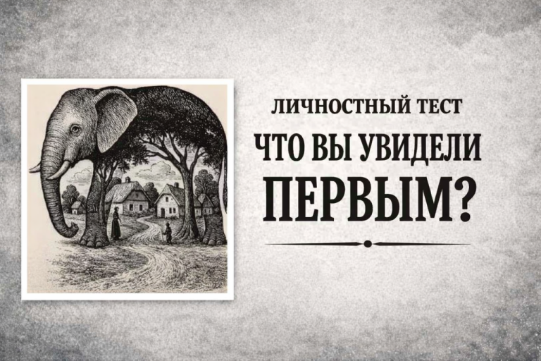 Что вы видите на картинке первым - слона или деревню: тест на определение типа личности покажет, какой дар был дан вам при рождении