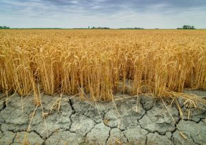 На Колке ввели запрет на купание: в воде обнаружено опасное загрязнение