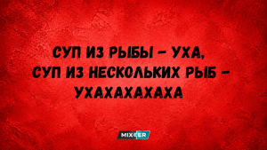 Юмор за день и семинар
