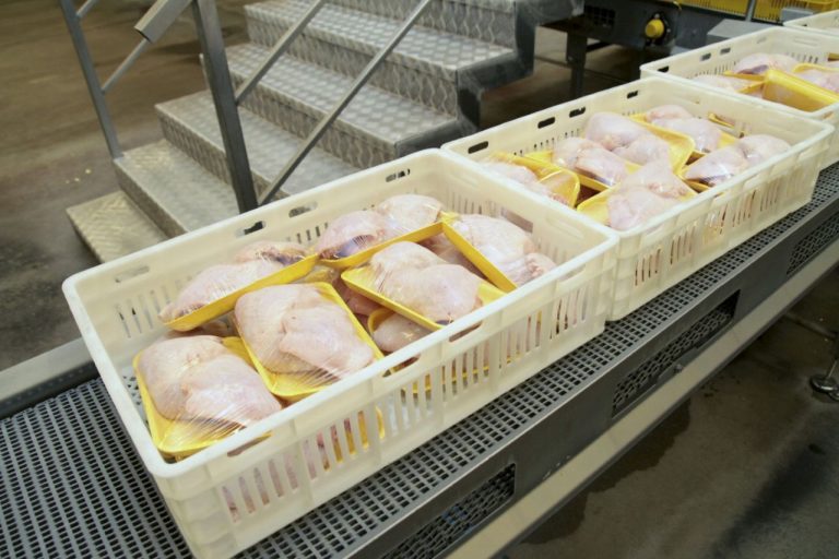 Сальмонелла на прилавках: PVD выявила зараженные куриные продукты из Польши