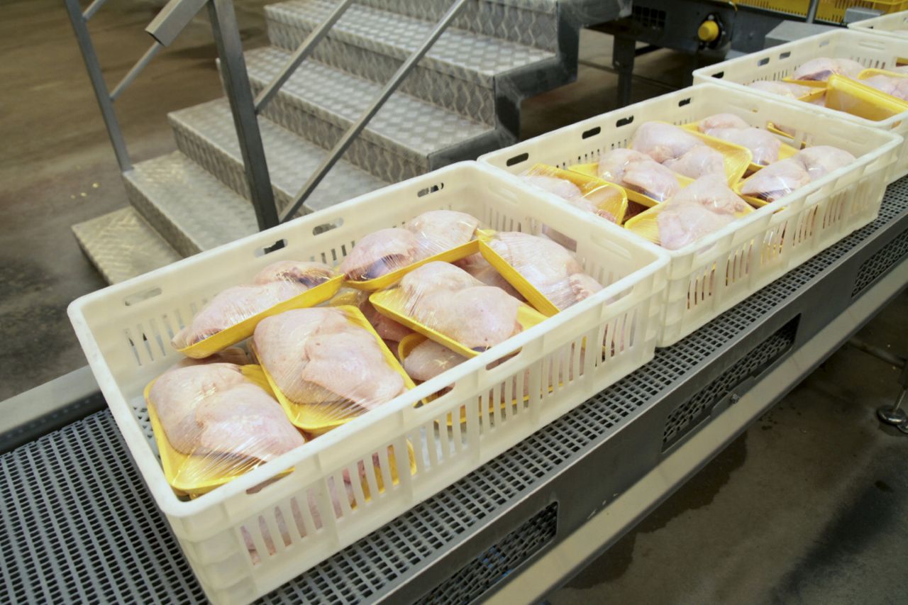 Сальмонелла на прилавках: PVD выявила зараженные куриные продукты из Польши