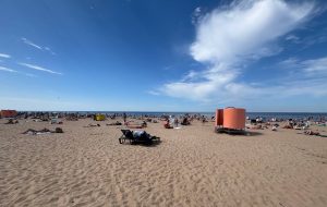 В Латвии вылупился птенец одной из самых опасных птиц на планете