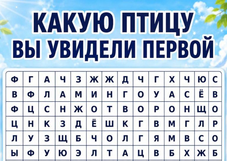 Тест: орёл, синица или ласточка - что выбрал ваш взгляд за долю секунды