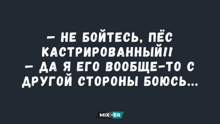 Интернет мемы на утро 23 июля и пёс