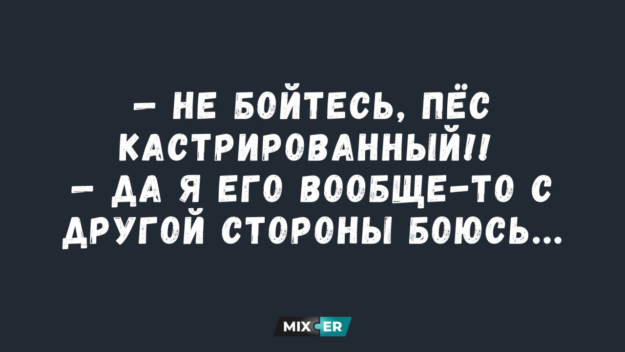 Интернет мемы на утро 23 июля и пёс