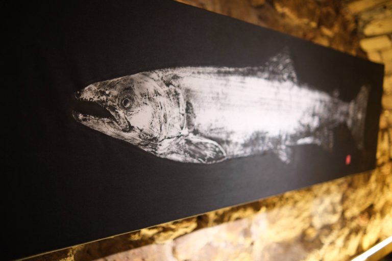Выставка «ARTIFISHAL» в Риге: живая природа в эпоху искусственного интеллекта