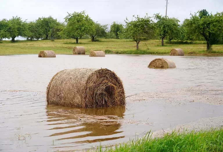 Ливни в Талсинском крае нанесли ущерб почти на миллион евро: вода продолжает прибывать