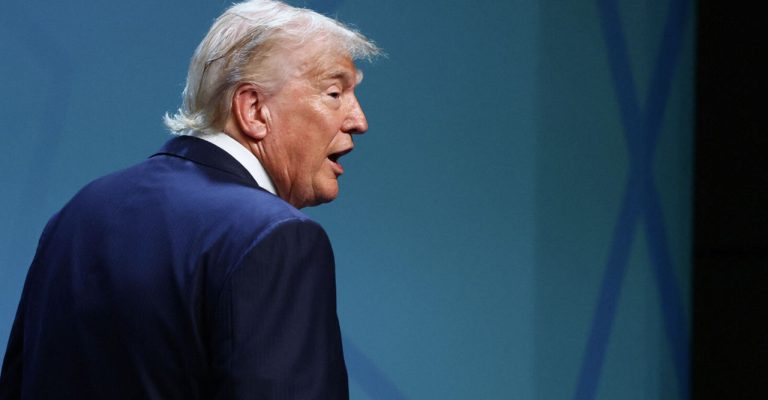 Трамп заявил, что европейским странам повезло иметь такого друга, как он
